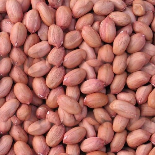 Groundnut seeds