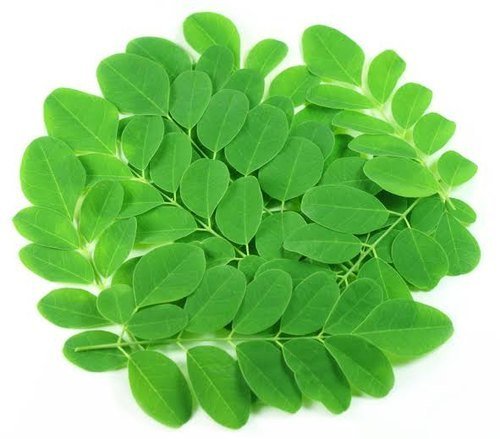 Drumstick leaves